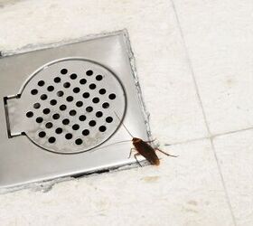 Why Are There Bugs In My Bathroom?