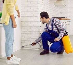 Should I Spray My House If It Has Bugs?