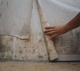 How To Tell If Mold Has Spread