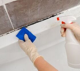 Mold Prevention And Removal Basics (Dos And Don’ts)