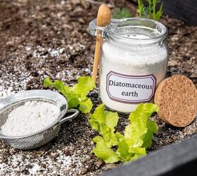 Ways Diatomaceous Earth Can Help Your Garden Thrive
