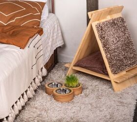 Tips to Create A Cozy Pet Corner That Fits Your Design