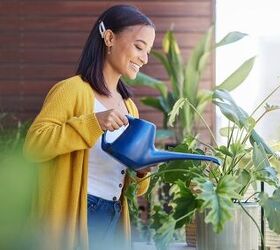 How To Keep Your Plants Alive While On Vacation