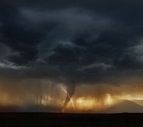 What To Do With Your Pets During A Tornado Warning