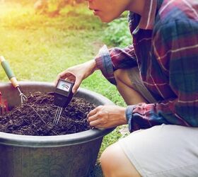 Does Soil Acidity Affect Plant Growth?