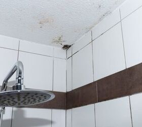 What Happens If You Find Mold In A House You Just Bought?