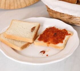 Cleaning Tips To Keep Cockroaches Out Of Your Home