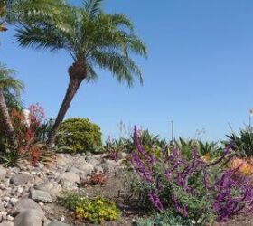 Pros And Cons Of Gardening In A Desert Climate