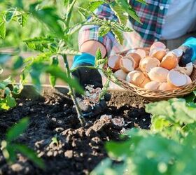 The Pros And Cons Of Organic And Synthetic Fertilizers