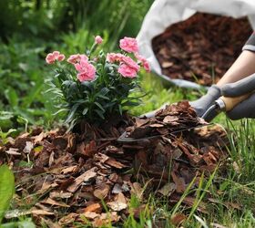 The Benefits Of Mulch