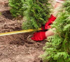 Why Every Gardener Needs A Tape Measure