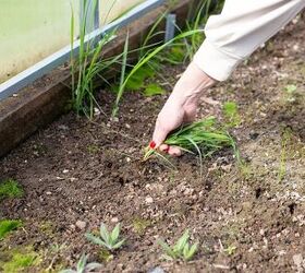 Weed Control Mistakes To Avoid This Summer