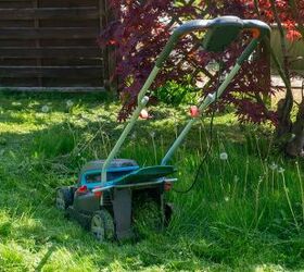 My Landlord Stopped Mowing The Lawn