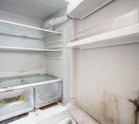 What To Do If You Find Mold In Your Fridge?