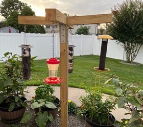 Pros And Cons Of Having A Bird Feeder