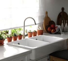 The Best Plants To Keep In Your Kitchen