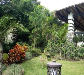 How To Add Tropical Plants To Your Yard