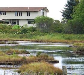 Landscaping Ideas For Homes That Border Wetlands