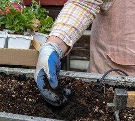 Benefits Of Using Worm Castings In A Garden