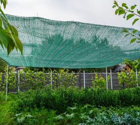 How To Protect Landscaping During An Extreme Heat Wave