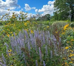 Is July Too Late To Plant Flowers?
