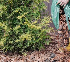 When Is The Best Time To Mulch Your Yard?