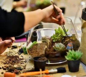 Eight Terrarium Tips For Beginners