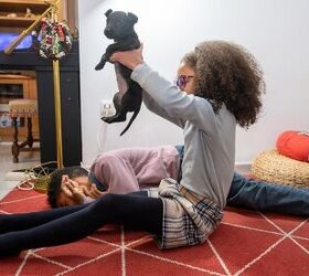 How To Puppy-Proof Your House