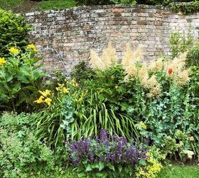 Incredibly Long-Lasting Perennials You Can Plant This Fall