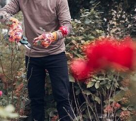 Landscaping Tasks To Tackle This Fall