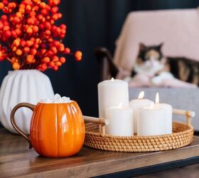 10 Need-to-Know Tips For Pet-Safe Fall Decorating