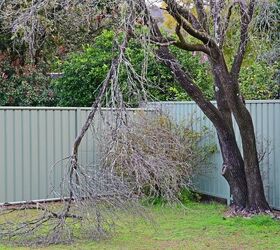 Signs A Tree On Your Property Is Dead (And How To Remove It)